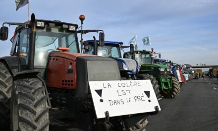 Follow Chirac and Farage, not angry farmers, when it comes to music as a political…